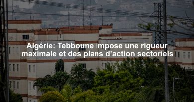 Algérie: Tebboune impose une rigueur maximale et des plans d’action sectoriels