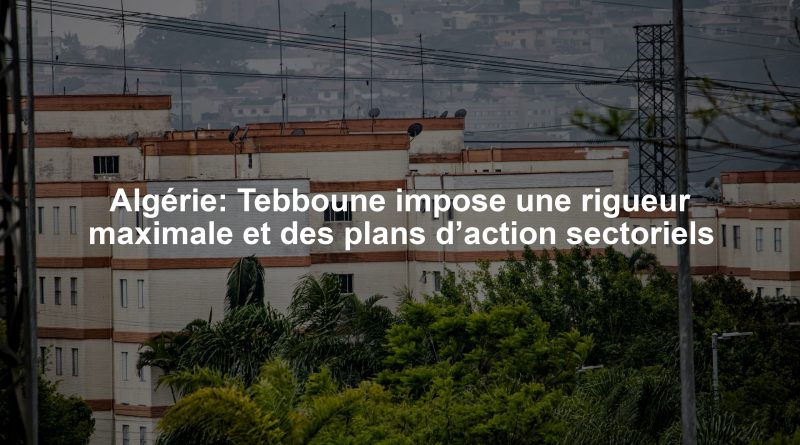 Algérie: Tebboune impose une rigueur maximale et des plans d’action sectoriels