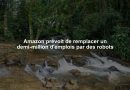 Amazon prévoit de remplacer un demi-million d'emplois par des robots