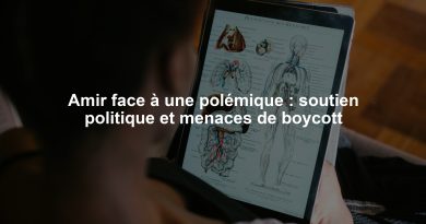 Amir face à une polémique : soutien politique et menaces de boycott