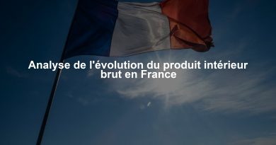 Analyse de l'évolution du produit intérieur brut en France