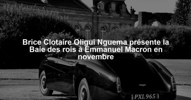 Brice Clotaire Oligui Nguema présente la Baie des rois à Emmanuel Macron en novembre