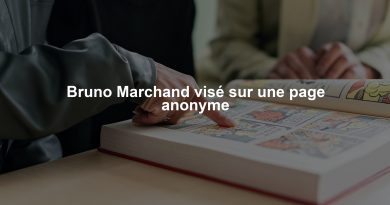 Bruno Marchand visé sur une page anonyme