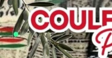 Journée de solidarité au camp de New Askar à Naplouse : enjeux et actions