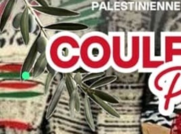 Journée de solidarité au camp de New Askar à Naplouse : enjeux et actions
