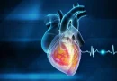 Cette habitude quotidienne réduit le risque cardiaque de deux tiers