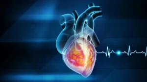 Cette habitude quotidienne réduit le risque cardiaque de deux tiers