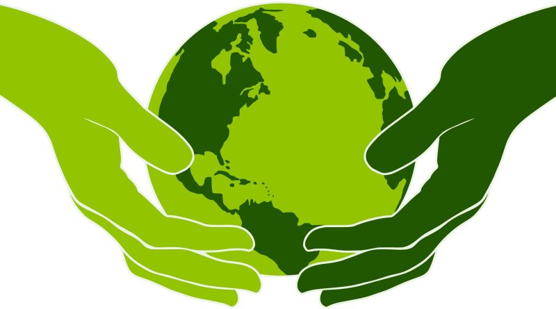 Rapport : Les puits de carbone terrestre en retard face à la hausse des températures et des maladies