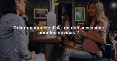 Créer un modèle d'IA : un défi accessible pour les novices ?
