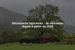 Découverts bancaires : de nouvelles règles à partir de 2026