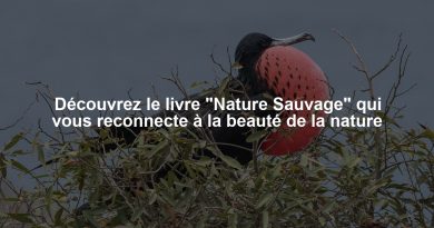Découvrez le livre "Nature Sauvage" qui vous reconnecte à la beauté de la nature