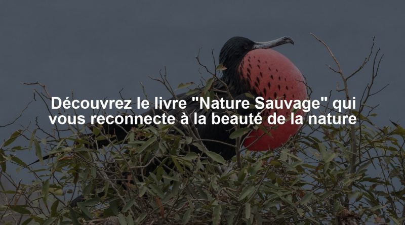 Découvrez le livre "Nature Sauvage" qui vous reconnecte à la beauté de la nature