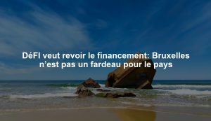 DéFI veut revoir le financement: Bruxelles n’est pas un fardeau pour le pays