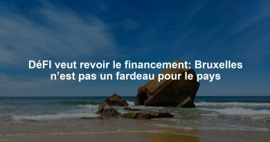 DéFI veut revoir le financement: Bruxelles n’est pas un fardeau pour le pays