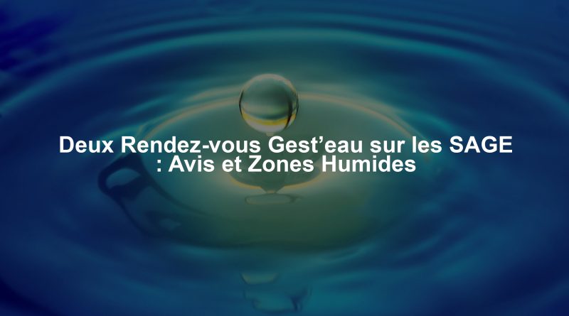 Deux Rendez-vous Gest’eau sur les SAGE : Avis et Zones Humides
