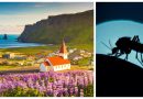 Des moustiques découverts pour la première fois en Islande - RTBF Actus