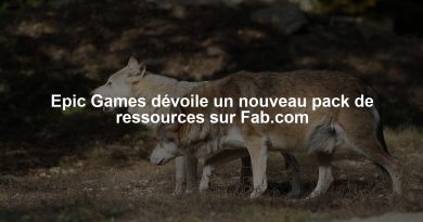 Epic Games dévoile un nouveau pack de ressources sur Fab.com