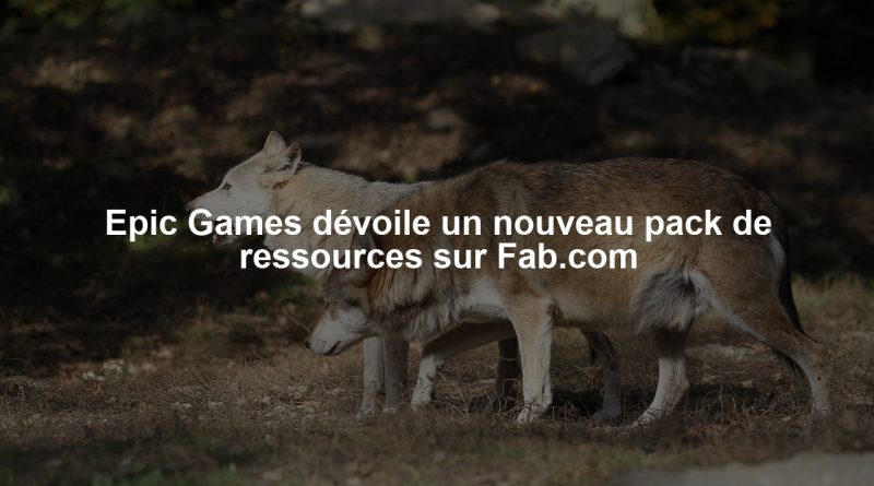 Epic Games dévoile un nouveau pack de ressources sur Fab.com