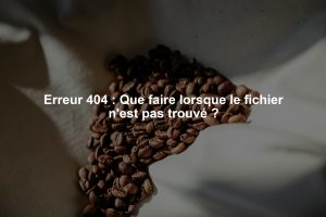 Erreur 404 : Que faire lorsque le fichier n'est pas trouvé ?