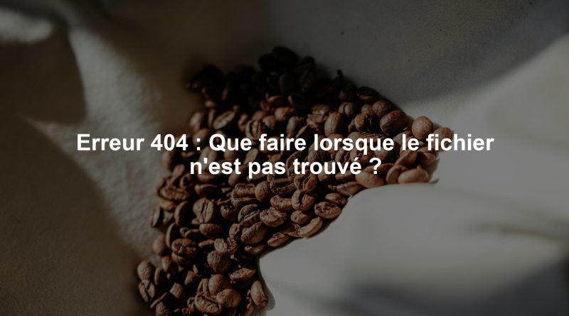 Erreur 404 : Que faire lorsque le fichier n'est pas trouvé ?