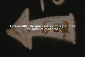 Erreur 500 : Ce que cela signifie pour les utilisateurs d'internet