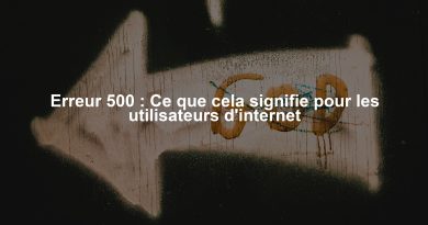 Erreur 500 : Ce que cela signifie pour les utilisateurs d'internet
