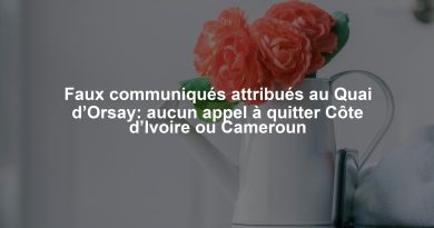 Faux communiqués attribués au Quai d’Orsay: aucun appel à quitter Côte d’Ivoire ou Cameroun