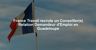 France Travail recrute un Conseiller(e) Relation Demandeur d'Emploi en Guadeloupe