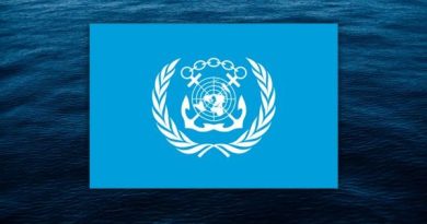 Maritime transport: a year behind schedule for global decarbonization Transport maritime : L'OMI face aux défis des producteurs de pétrole