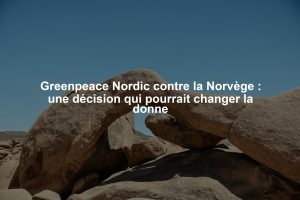 Greenpeace Nordic contre la Norvège : une décision qui pourrait changer la donne