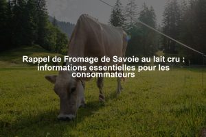 Rappel de Fromage de Savoie au lait cru : informations essentielles pour les consommateurs