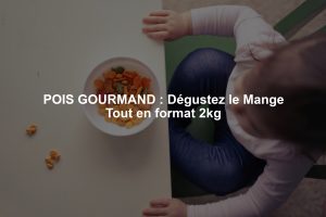 POIS GOURMAND : Dégustez le Mange Tout en format 2kg