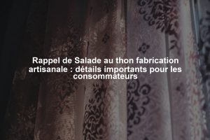 Rappel de Salade au thon fabrication artisanale : détails importants pour les consommateurs
