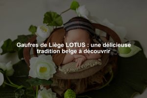 Gaufres de Liège LOTUS : une délicieuse tradition belge à découvrir