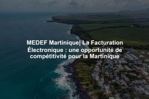 MEDEF Martinique| La Facturation Électronique : une opportunité de compétitivité pour la Martinique