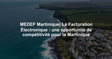 MEDEF Martinique| La Facturation Électronique : une opportunité de compétitivité pour la Martinique