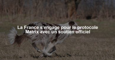 La France s'engage pour le protocole Matrix avec un soutien officiel