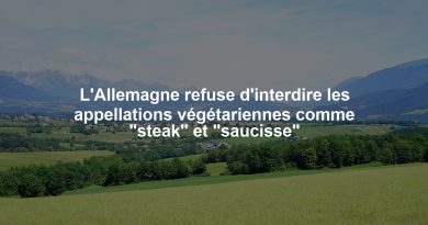 L'Allemagne refuse d'interdire les appellations végétariennes comme "steak" et "saucisse"