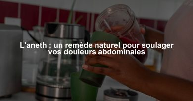 L'aneth : un remède naturel pour soulager vos douleurs abdominales