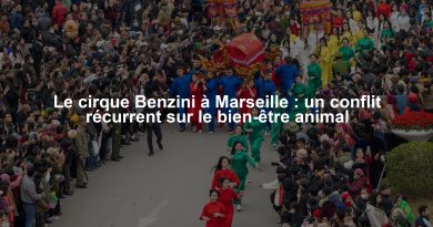 Le cirque Benzini à Marseille : un conflit récurrent sur le bien-être animal
