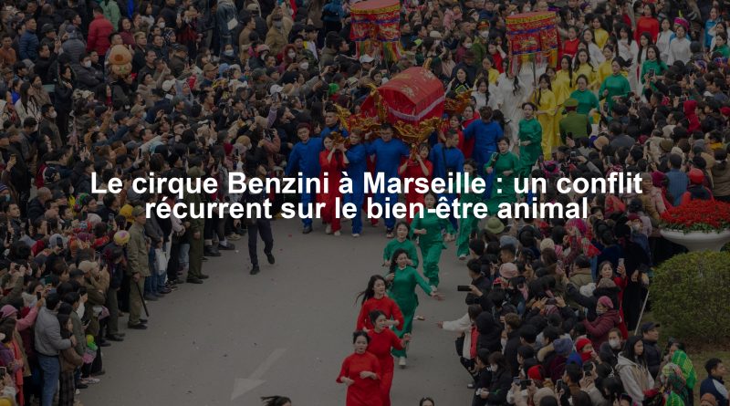 Le cirque Benzini à Marseille : un conflit récurrent sur le bien-être animal