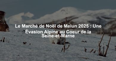 Le Marché de Noël de Melun 2025 : Une Évasion Alpine au Coeur de la Seine-et-Marne
