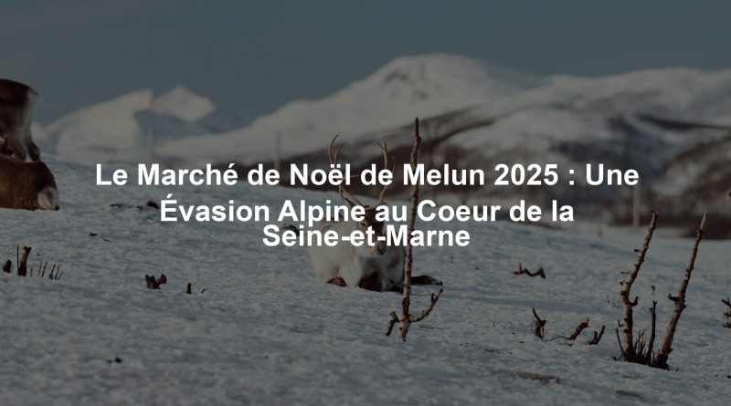 Le Marché de Noël de Melun 2025 : Une Évasion Alpine au Coeur de la Seine-et-Marne