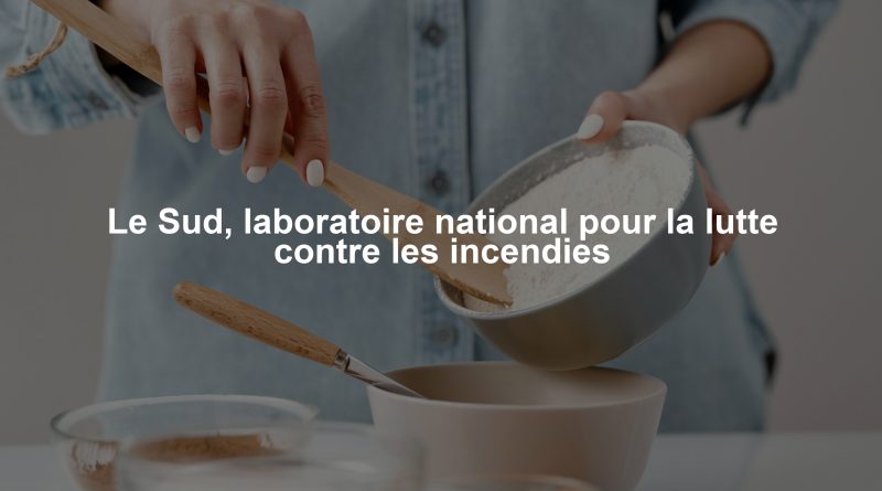 Le Sud, laboratoire national pour la lutte contre les incendies