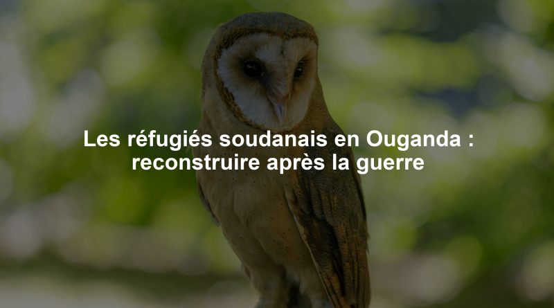 Les réfugiés soudanais en Ouganda : reconstruire après la guerre
