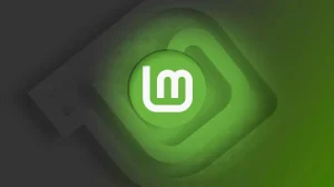 lmde 7