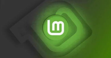 lmde 7