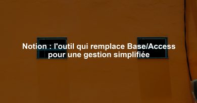 Notion : l'outil qui remplace Base/Access pour une gestion simplifiée