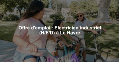 Offre d'emploi : Electricien industriel (H/F/D) à Le Havre