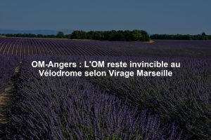 OM-Angers : L'OM reste invincible au Vélodrome selon Virage Marseille